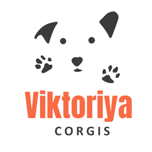 Viktoriya Corgis